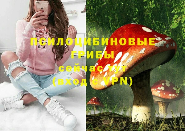 jwh Горняк