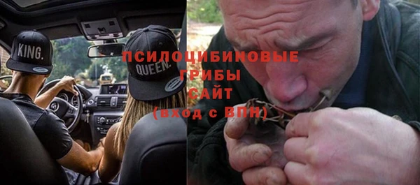 Альфа ПВП Горнозаводск