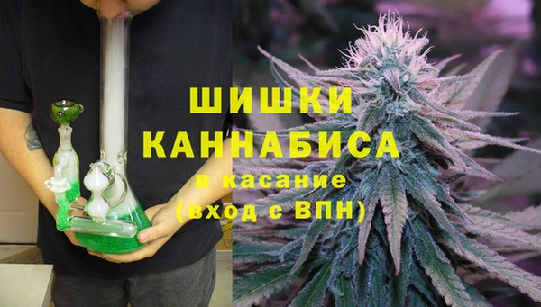 Альфа ПВП Горнозаводск