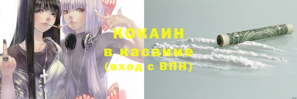 соль ск Горно-Алтайск