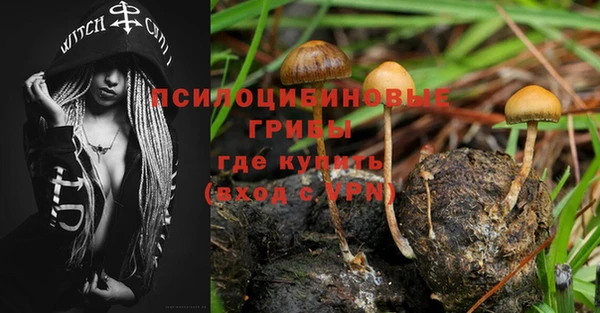 jwh Горняк